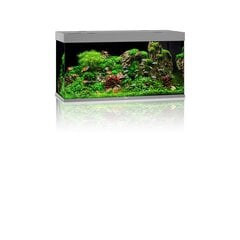 Aquarium Rio LED, 350 L, pelēks cena un informācija | Akvāriji un aprīkojums | 220.lv