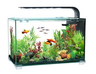 Akvārijs Aquaclear desktop tank AC16, 13L, 356x206x234mm cena un informācija | Akvāriji un aprīkojums | 220.lv