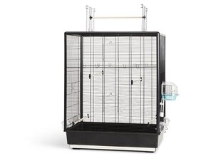 Cage Primo 60 Open Empire 80x50x95cm melns cena un informācija | Putnu būri un barotavas | 220.lv