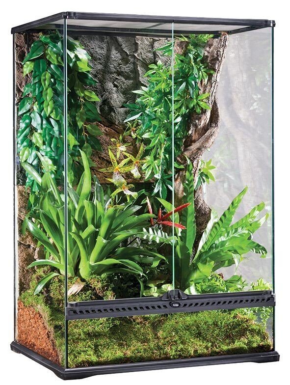 Stikla terārijs Exo-Terra Paludarium, 60 x 45 x 90 cm цена и информация | Preces eksotiskajiem dzīvniekiem | 220.lv