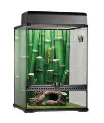 Стеклянный террариум Exo-Terra Bamboo Forest Habitat L 45x45x60cm цена и информация | Товары для экзотических животных | 220.lv