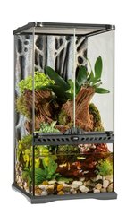 Стеклянный террариум Exo-Terra Paludarium 30x30x60cm PT2595 цена и информация | Товары для экзотических животных | 220.lv