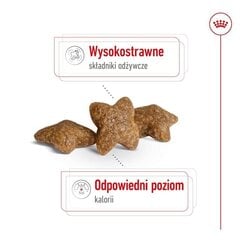 Royal Canin Adult Mini S pieaugušiem mazu šķirņu suņiem, 8 kg cena un informācija | Sausā barība suņiem | 220.lv