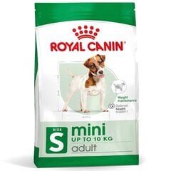 Royal Canin Adult Mini S pieaugušiem mazu šķirņu suņiem, 8 kg cena un informācija | Sausā barība suņiem | 220.lv