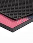 E-floor paklājs Soft Step Lima Fancy Cat 45x75 cm cena un informācija | Kājslauķi | 220.lv