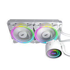 Darkflash TR240 PC Water Cooling AiO RGB 2x 120x120, baltas cena un informācija | Datora ventilatori | 220.lv