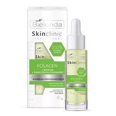 Sejas serums Bielenda Skin Clinic Professional Collagen Regenerating Anti-Wrinkle, 30 ml cena un informācija | Serumi sejai, eļļas | 220.lv