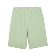 Шорты PUMA ESS+ 2 Col Shorts 10" 586766954099686937607 цена и информация | Мужская спортивная одежда | 220.lv