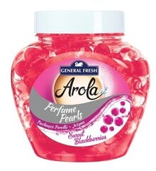 Fresh & Fruktiņu Aromātiskās Perles, Mellenes, 250g cena un informācija | Gaisa atsvaidzinātāji | 220.lv