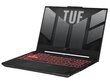 Asus TUF Gaming A15 FA507NU-TT903W (90NR0EB5-M00JJ0) цена и информация | Portatīvie datori | 220.lv