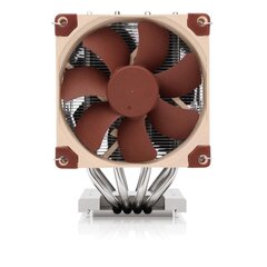 Noctua NH-D9 TR5-SP6 цена и информация | Кулеры для процессоров | 220.lv