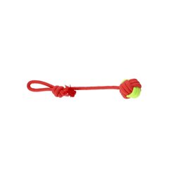 Rotaļlieta suņiem Dingo Energy bumbiņa ar rokturi, sarkana/zaļa, 40 cm cena un informācija | Suņu rotaļlietas | 220.lv