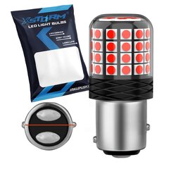 Spuldze Xstorm P21/5W цена и информация | Автомобильные лампочки | 220.lv