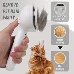Увлажняющая щетка для волос для домашних животных цена и информация | Средства по уходу за животными | 220.lv