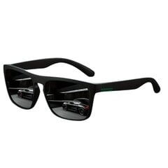 Классические мужские солнцезащитные очки цена и информация | Солнцезащитные очки для мужчин | 220.lv