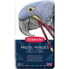 Krāsainie zīmuļi Derwent PASTEL PENCILS, 12 gab., metāla kastīte cena un informācija | Modelēšanas un zīmēšanas piederumi | 220.lv