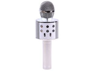 Rotaļu karaoke mikrofons cena un informācija | Attīstošās rotaļlietas | 220.lv