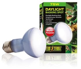 Террариумная лампа Daylight Basking Spot R20 75w PT2132 цена и информация | Товары для экзотических животных | 220.lv