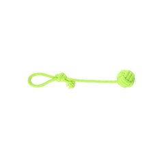 Rotaļlieta suņiem Dingo Energy bumbiņa ar rokturi, zaļa, 6x40 cm cena un informācija | Suņu rotaļlietas | 220.lv