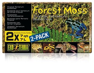 Мох Exo Terra Forest Moss, 2х7л цена и информация | Товары для экзотических животных | 220.lv
