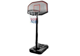 Регулируемая стойка для баскетбола, 200-300 см цена и информация | Игры на открытом воздухе | 220.lv
