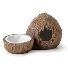 Terārija dekorēšana, kokosriekstu trauks PT3159 cena un informācija | Preces eksotiskajiem dzīvniekiem | 220.lv