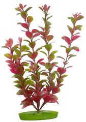 Plastmasas augs AquaScaper 30cm, Red Ludwigia, Marina cena un informācija | Akvārija augi, dekori | 220.lv