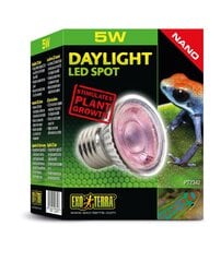 Террариумная лампа дневного света LED Spot NANO 5w PT2342 цена и информация | Товары для экзотических животных | 220.lv