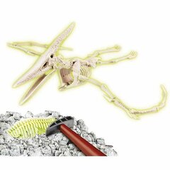 Izrakumu komplekts Clementoni Archéo Ludic Pteranodon Fluorescent цена и информация | Развивающие игрушки | 220.lv