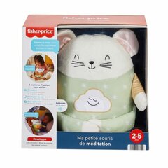 Plīša rotaļlieta Fisher Price My Little Meditation Mouse, 20 cm цена и информация | Мягкие игрушки | 220.lv