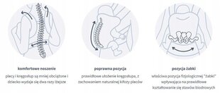 Zīdaiņu pārvadātājs Zaffiro, Gray Leaves cena un informācija | Slingi, ķengursomas | 220.lv