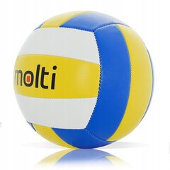 Мяч волейбольный Molti PS001, размер 5, разные цвета цена и информация | Волейбольные мячи | 220.lv