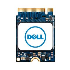 Dell AB292880 цена и информация | Внутренние жёсткие диски (HDD, SSD, Hybrid) | 220.lv