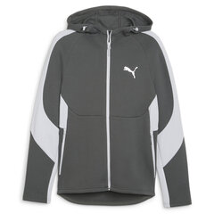 Evostripe full-zip hoodie puma 67899580 vīriešiem pilka men's grey 67899580 цена и информация | Мужские толстовки | 220.lv