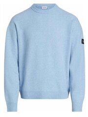 Джемпер CALVIN KLEIN Lycra Blend Comfort Fit Tropic Blue K10K110401CW6 560077372 цена и информация | Мужские свитера | 220.lv