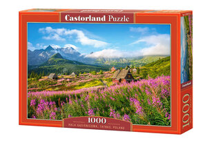 Puzle Tatru kalni, Polija, 1000 d. cena un informācija | Puzles, 3D puzles | 220.lv