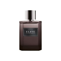 Мужская туалетная вода Avon Elite Gentleman EDT, 75 мл цена и информация | Мужские духи | 220.lv