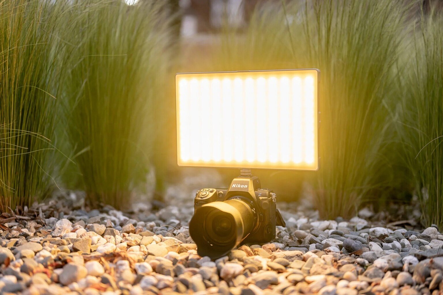 Newel RGB-W Rangha Max, 1 gab. cena un informācija | Apgaismojums fotografēšanai | 220.lv