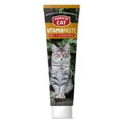 Perfecto Cat pastas kaķiem Vitaminpaste, 100 g cena un informācija | Vitamīni, uztura bagātinātāji, pretparazītu līdzekļi kaķiem | 220.lv