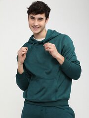Pantoneclo vīriešu flīsa džemperis ar kapuci cena un informācija | Vīriešu jakas | 220.lv