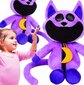 Mīkstā rotaļlieta Smiling Critters CatNap, 40cm цена и информация | Mīkstās (plīša) rotaļlietas | 220.lv