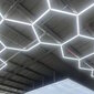 Light Prestige griestu lampa Geometric System 2 цена и информация | Griestu lampas | 220.lv