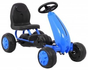 RoGer GoKart Велокартинг для детей Синий цена и информация | Игрушки для мальчиков | 220.lv