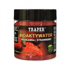 Биоактиватор для прикормки TRAPER Strawberry 300г клубника цена и информация | Прикормки | 220.lv