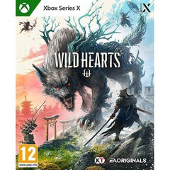 Wild Hearts, Xbox Series X - Game (Pre-order) цена и информация | Компьютерные игры | 220.lv