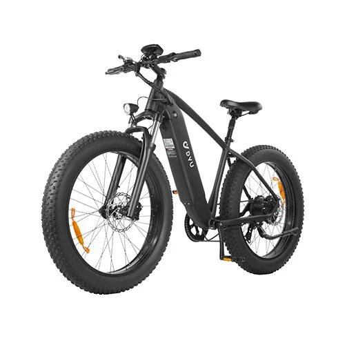 Elektriskais velosipēds Dyu King 750, 26", melns цена и информация | Elektrovelosipēdi | 220.lv