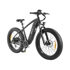 Elektriskais velosipēds Dyu King 750, 26", melns цена и информация | Электровелосипеды | 220.lv