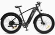 Elektriskais velosipēds Dyu King 750, 26", melns цена и информация | Elektrovelosipēdi | 220.lv