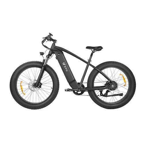 Elektriskais velosipēds Dyu King 750, 26", melns цена и информация | Elektrovelosipēdi | 220.lv