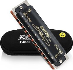 Harmonika East Top 10 Hole Professional Diatonic Harmonica cena un informācija | Pūšamie instrumenti | 220.lv